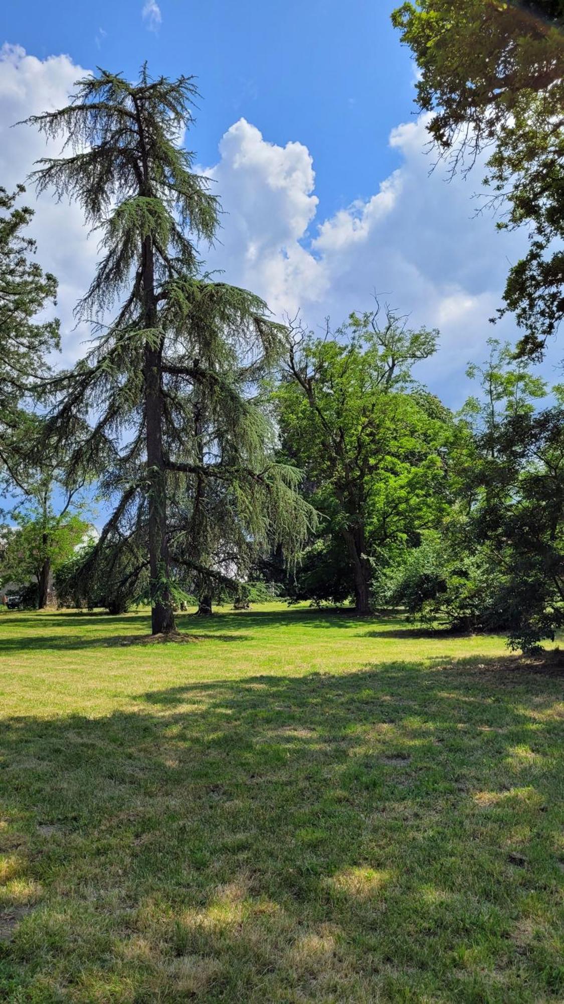 Villa Saint Pierre La Trimouille Екстериор снимка